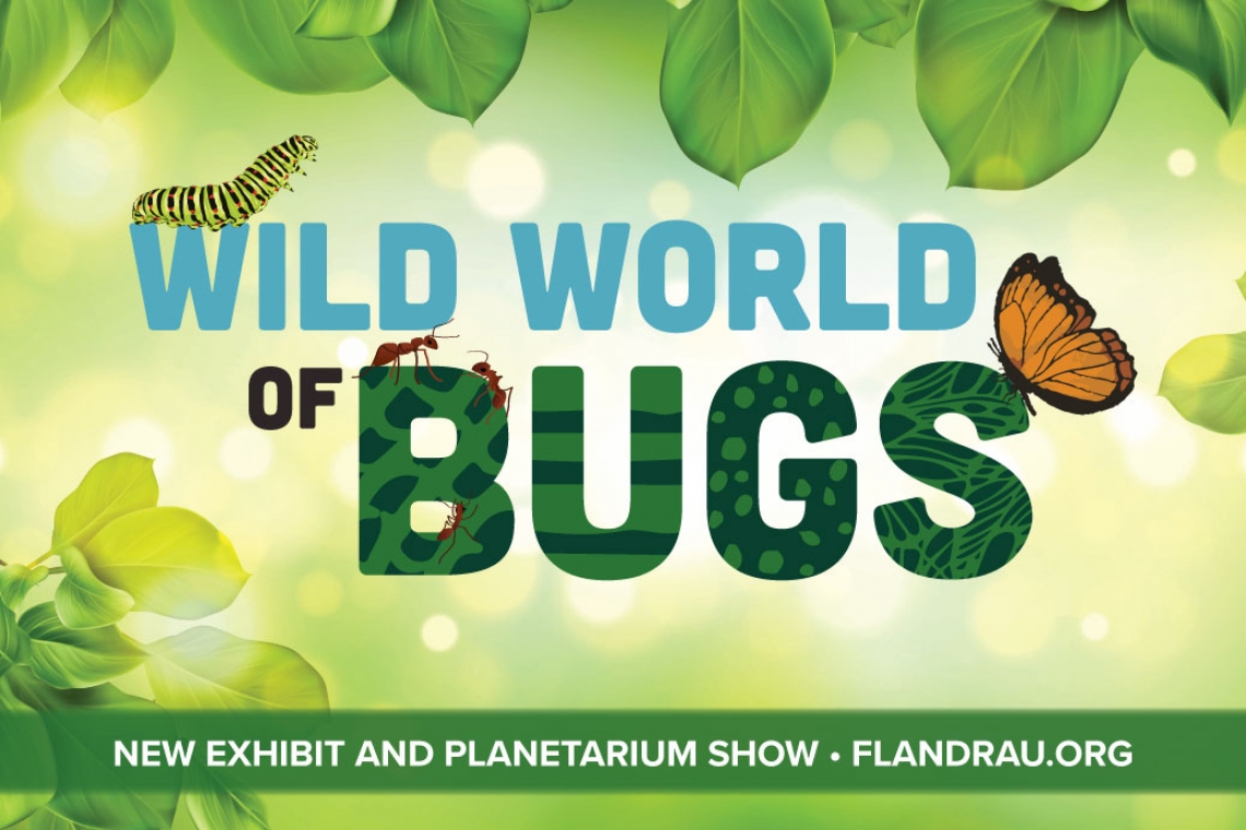 The wild world of bugs logo surrounded by pictures of green leaves and bugs
